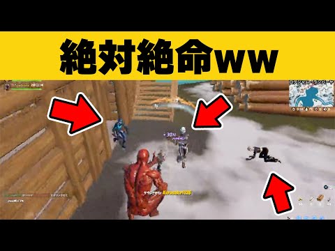 【感動w】絶対絶命のピンチにまさかの救世主?w | フォートナイト “最高の瞬間”【#85】