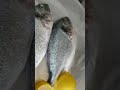 Seabream  fish in oven