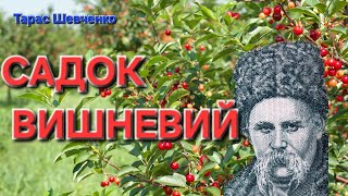 Садок вишневий коло хати🎶 душа Шевченко в пісні