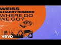 WEISS, Harry Romero - Where Do We Go? (Visualiser)