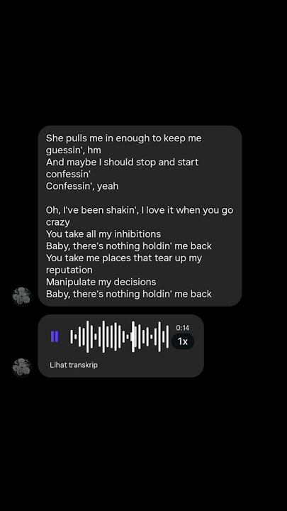 There's Nothing Holdin' Me Back