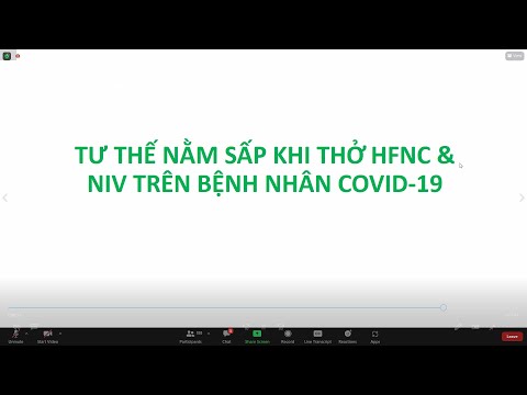 Video: Một tấm thảm dài một mét rưỡi được dệt kim bằng những chiếc kim đan khổng lồ. Dự án Sebastian Schonheit