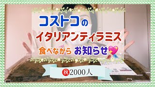 【祝2000人】コストコ新商品イタリアンティラミス夢のホール食い！少しお話します♪【COSTCO】