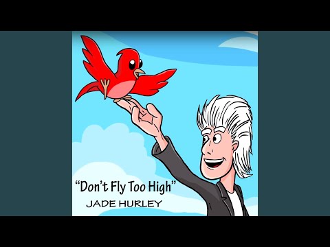 Don't Fly Too High