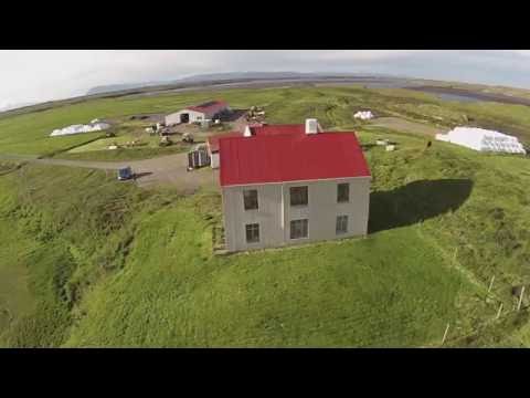 Mýranaut - www.myranaut.is - YouTube