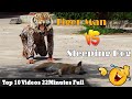 Tiger Man Prank Vs Sleep Dog Best Funny Video 2021 _ Try Not To Laugh Challenge Prank Animals