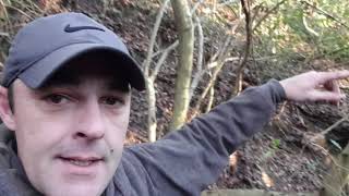 Nokta Simplex, Equinox 800 prospecting new Land. Hidden Bridge 200 years old Metal detecting Wales