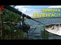 Поехали на КАРПА а наловили ПЕЛЕНГАСА!! Каменка Очаковская, разведка