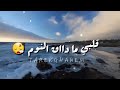 يا حياة الروح قلبي ما داق النوم فضل شاكر