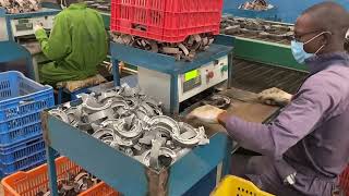 Motorcycle Brake Shoe Die Casting Machine