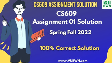 CS609 Assignment 01 Solution BY VUBWN | CS609 Assignment 1 100% Correct Solution