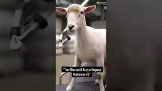 "Böylesini İlk Kez Göreceksiniz! 😲" #shortsvideo