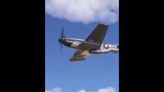 This Sound Is Insane |Asobo P-51 Mustang Echo-19 Sound pack| P-51 Improvement mod #shorts #msfs2024