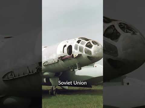 The Literal Flying Boat | Bartini-Beriev VVA-14 | Peculiar Prototypes