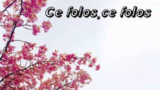 Video thumbnail of "Ce folos, ce folos (instrumental)"