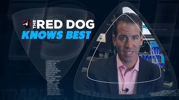 Scott Redler - The RedDog Knows Best - How To Use The h-sell Setup On Amazon AMZN
