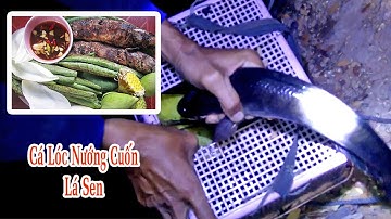 NSVNN#6 l Cắm Câu Đêm - Cá Lóc Nướng Trui và Cái Kết ... Bị Thằng Em Hớt Tay Trên l Thanh Đặng Vlog