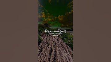 تلاوة خاشعة تلامس القلوب | سورة القصص بصوت ياسر الدوسري