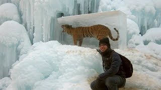 Animals Found FROZEN In Ice! (part 2) Animals Found FROZEN In Ice! (part 2)