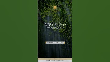 #القرآن_الكريم #اكسبلور #تلاوة_خاشعة #قرآن #لايك #تلاوات #ماهر_المعيقلي #ياسر_الدوسري #ترند #تيك_توك