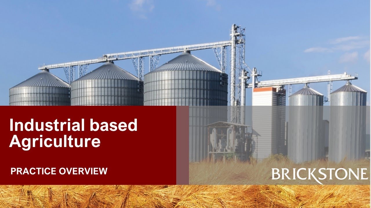 OUR INDUSTRIAL AGRICULTURE PRACTICE YouTube