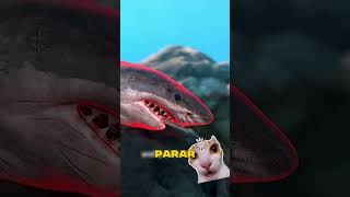 Como fazer uma SOPA de TUBARÃO ☠️ || #curiosidades #tubarão #ia #sopa #mar