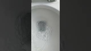 Yt Third! Gerber Toilet Flushes