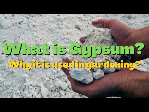 What is Gypsum? Why Gypsum is used in gardening
