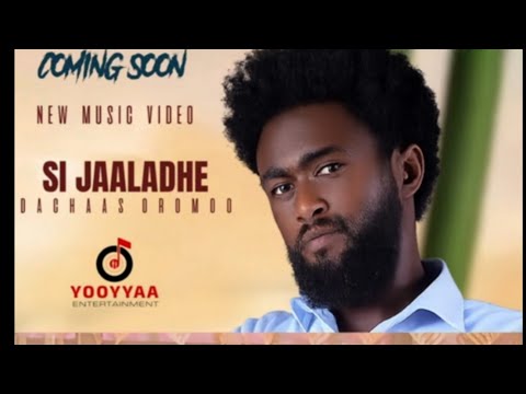 Dachas Oromo Gubaa Jaalalaa New Oromo Music 2025 Official Music Oromo
