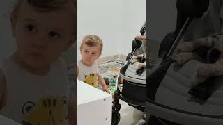 Cartoon Watching Toddler Moves Stroller Back and Forth While Cat Rests