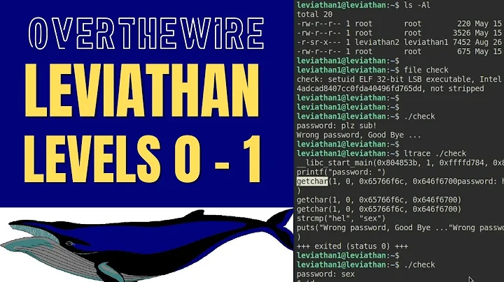 OverTheWire: Leviathan Walkthrough: Levels 0 - 1 (less and ltrace)