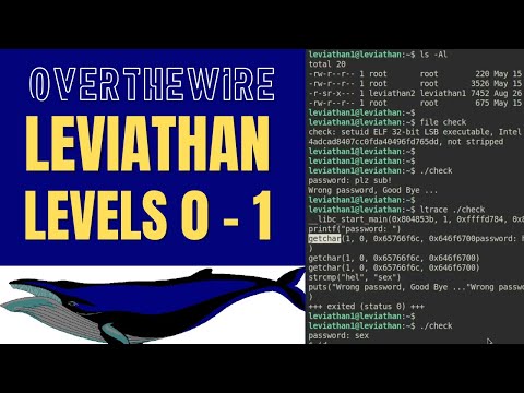 OverTheWire: Leviathan Walkthrough: Levels 0 - 1 (less and ltrace)