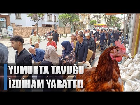 Yumurta Fabrikası Tavuklar İzdiham Yarattı! Metrelerce Kuyruk / AGRO TV HABER