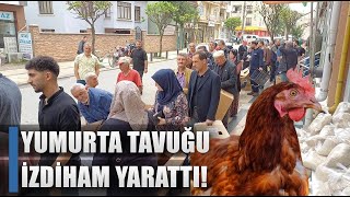 Yumurta Fabrikası Tavuklar İzdiham Yarattı! Metrelerce Kuyruk / AGRO TV HABER Resimi