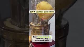 Pear Juice Effect 500W Stainless Steel Shaft&Strainer Slow Juicer