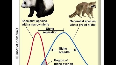 Species Distribution Modeling: Calibration and Evaluation