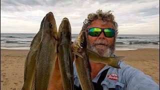 How to Catch BIG Whiting off ANY BEACH  Baits, Rigg and Location (ft Whiting and Bream)