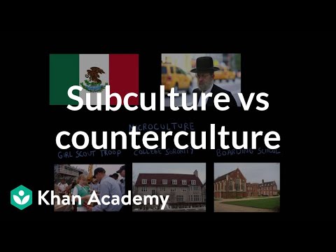 Subculture vs counterculture