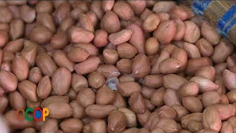 OCOP 22   DAU THUC VAT UONG BI   TRUNG THU