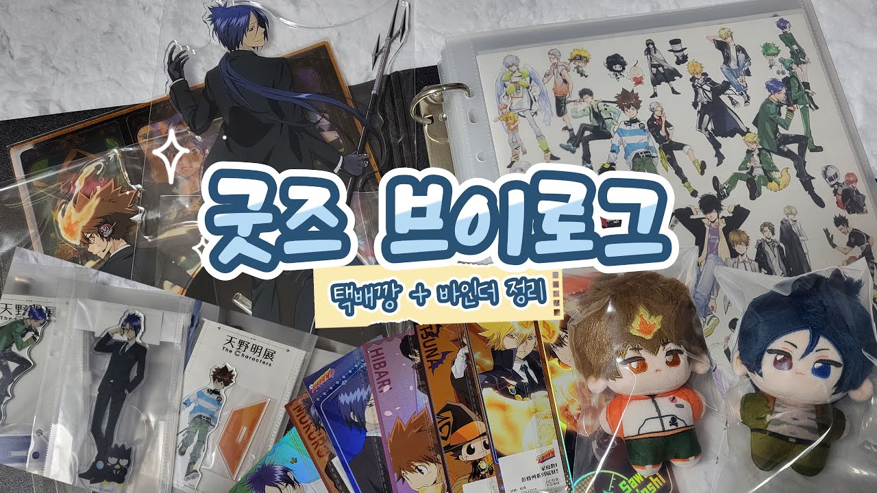[오타쿠✧vlog] 택배깡｜오타쿠 브이로그｜가히리 바인더 굿즈 소개｜가정교사 히트맨 REBORN!｜지류 굿즈 정리