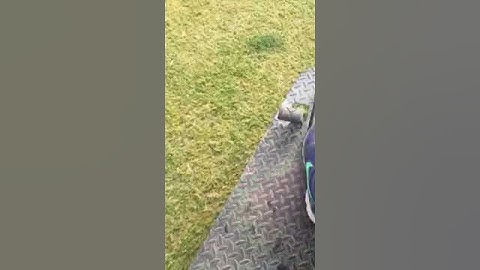 Deere 1200a shudder under load