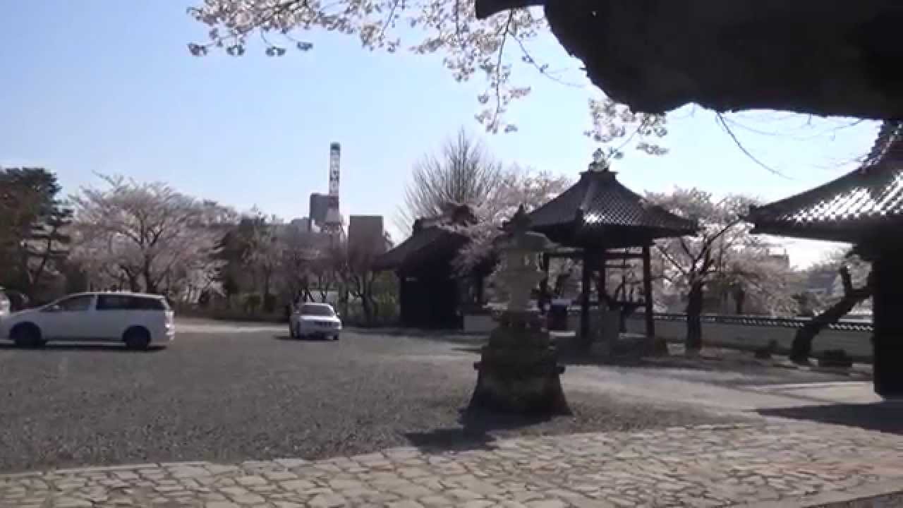 週末パス の旅 福島編 07 郡山 如宝寺の桜 15 04 12 Youtube