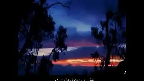 مقطع مؤثر من سورة  يوسف