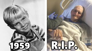 Dennis The Menace 1959 Cast Then And Now 2023, All The Cast Members Died Tragically