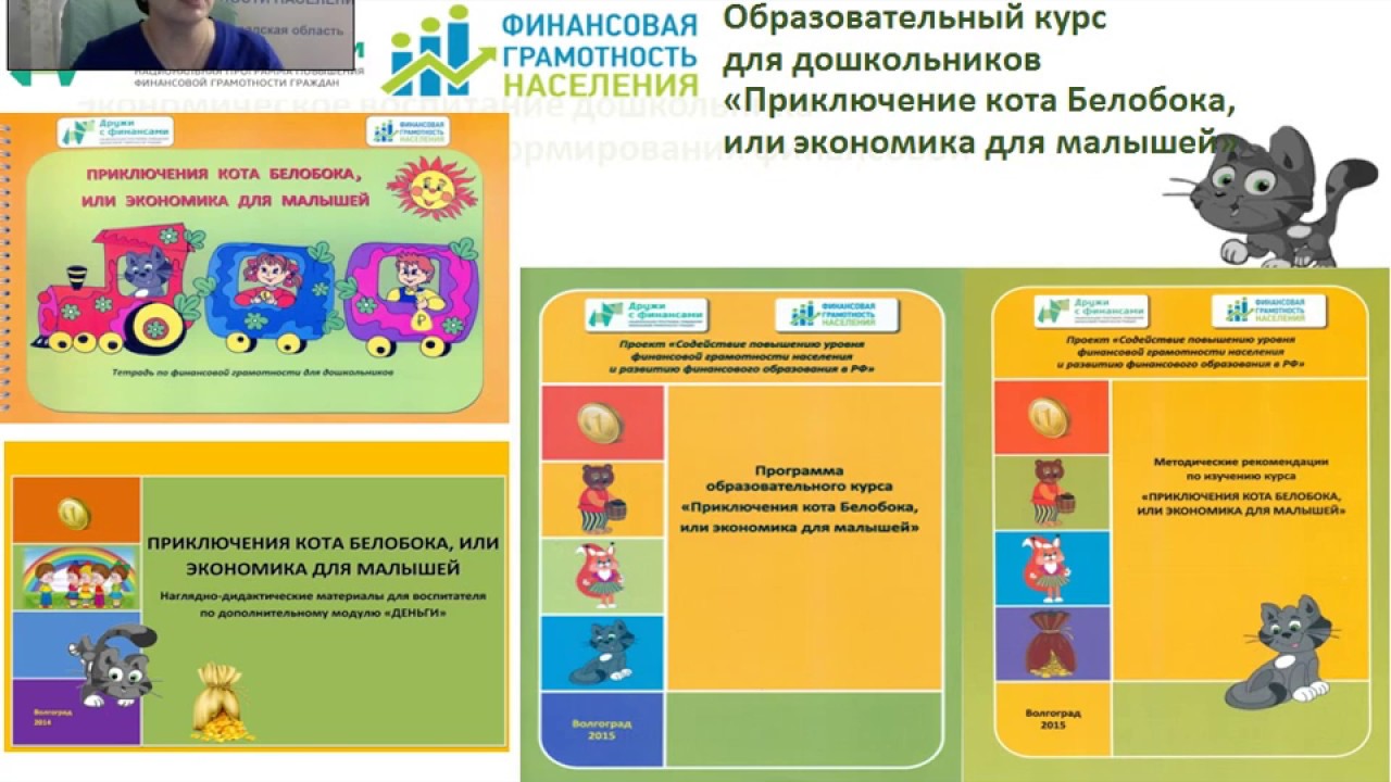 Финансовая грамотность для детей программа. Программа по финансовой грамотности кот белобока. Финансовая грамотность для дошкольников. Методические рекомендации программы приключения кота белобока. Кот белтбок финансовая грамотность.