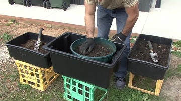 FIRST TIME - Removing Worm castings from my Worm Farm