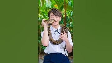 Thumbnail of Hobi Oppa, We Hate Snakeu too 😂 | #jhope #bts #shorts #short