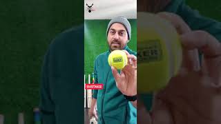 Recommended best quality soft tennis cricket bats | light tennis bats | kashmir willow tennis bats screenshot 5