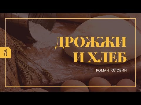 Вся правда - Дрожжи и хлеб. Лабиринты Питания