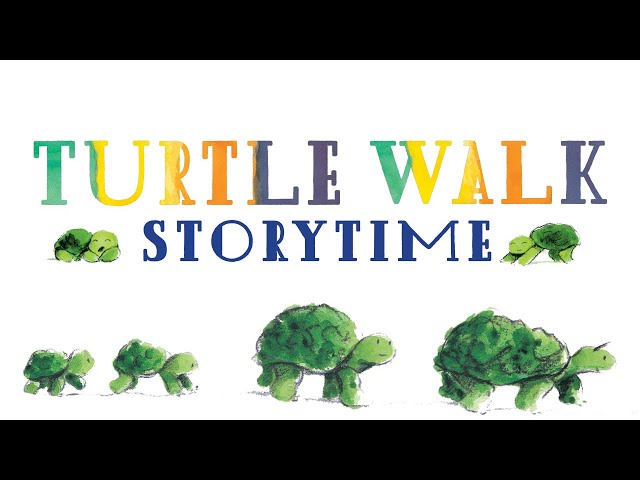 Turtle Walk by Matt Phelan | Storytime Read Aloud